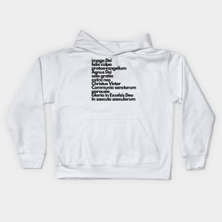 latin summary of the faith Kids Hoodie